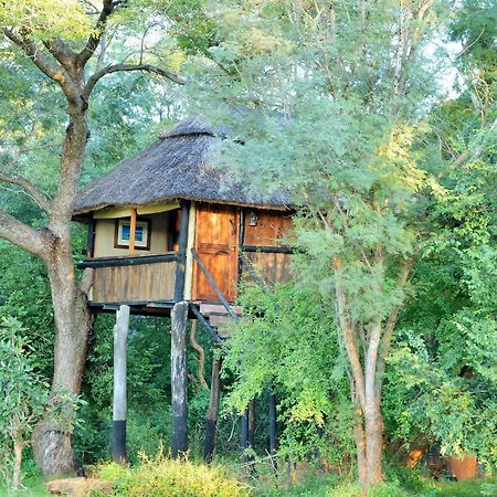 Ivory Lodge Dete Ngoại thất bức ảnh