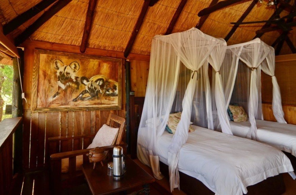 Ivory Lodge Dete Ngoại thất bức ảnh