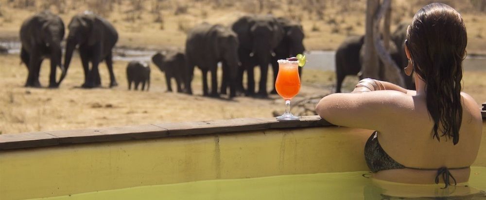 Ivory Lodge Dete Ngoại thất bức ảnh