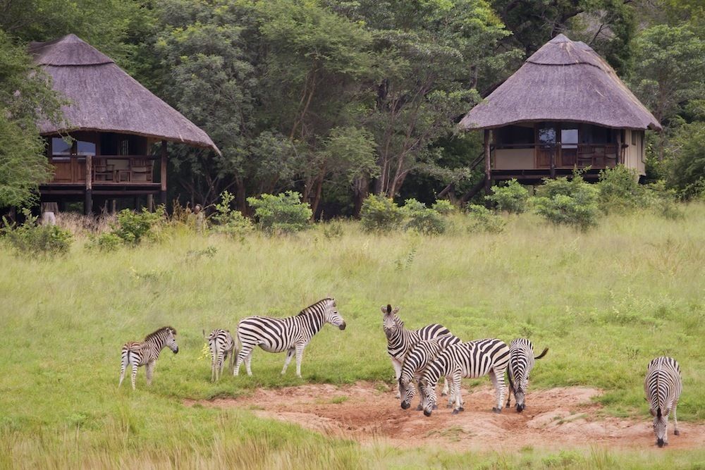 Ivory Lodge Dete Ngoại thất bức ảnh