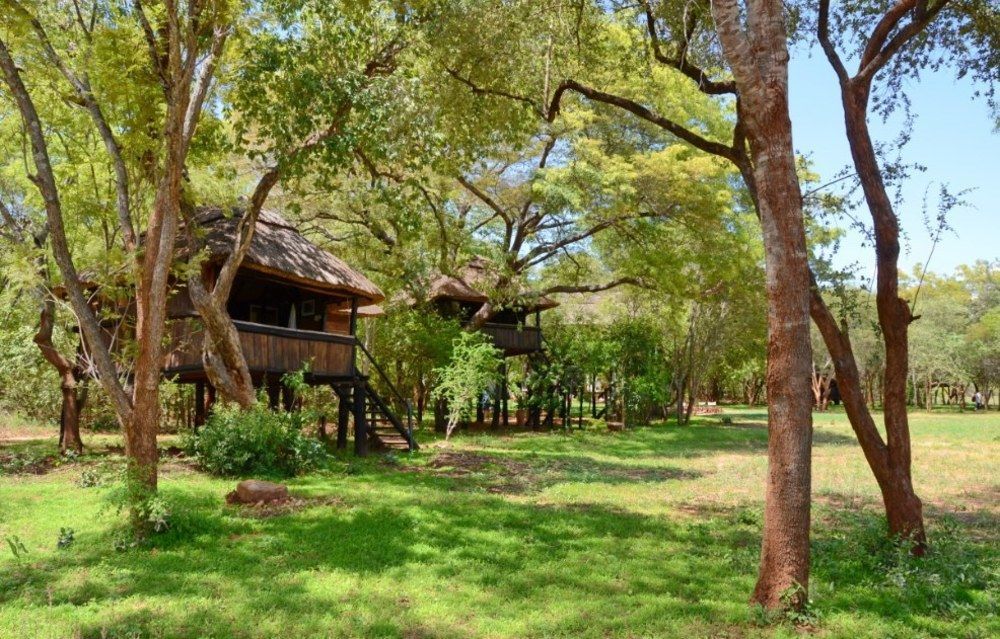 Ivory Lodge Dete Ngoại thất bức ảnh