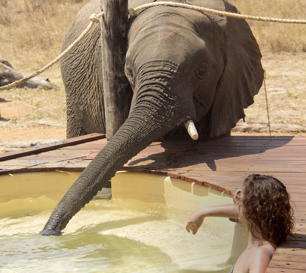 Ivory Lodge Dete Ngoại thất bức ảnh