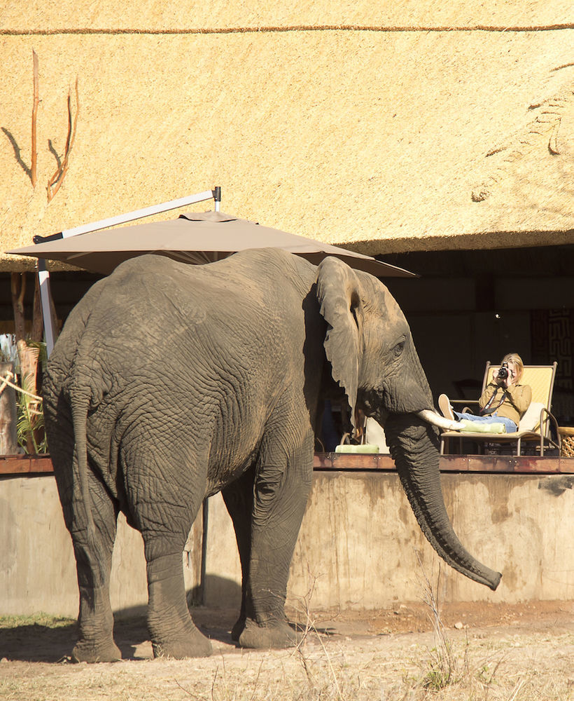 Ivory Lodge Dete Ngoại thất bức ảnh
