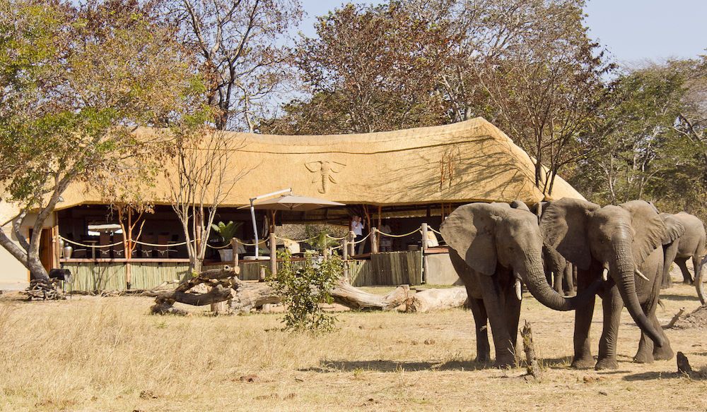 Ivory Lodge Dete Ngoại thất bức ảnh