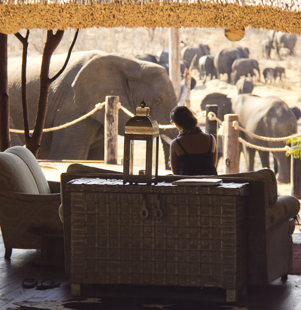 Ivory Lodge Dete Ngoại thất bức ảnh