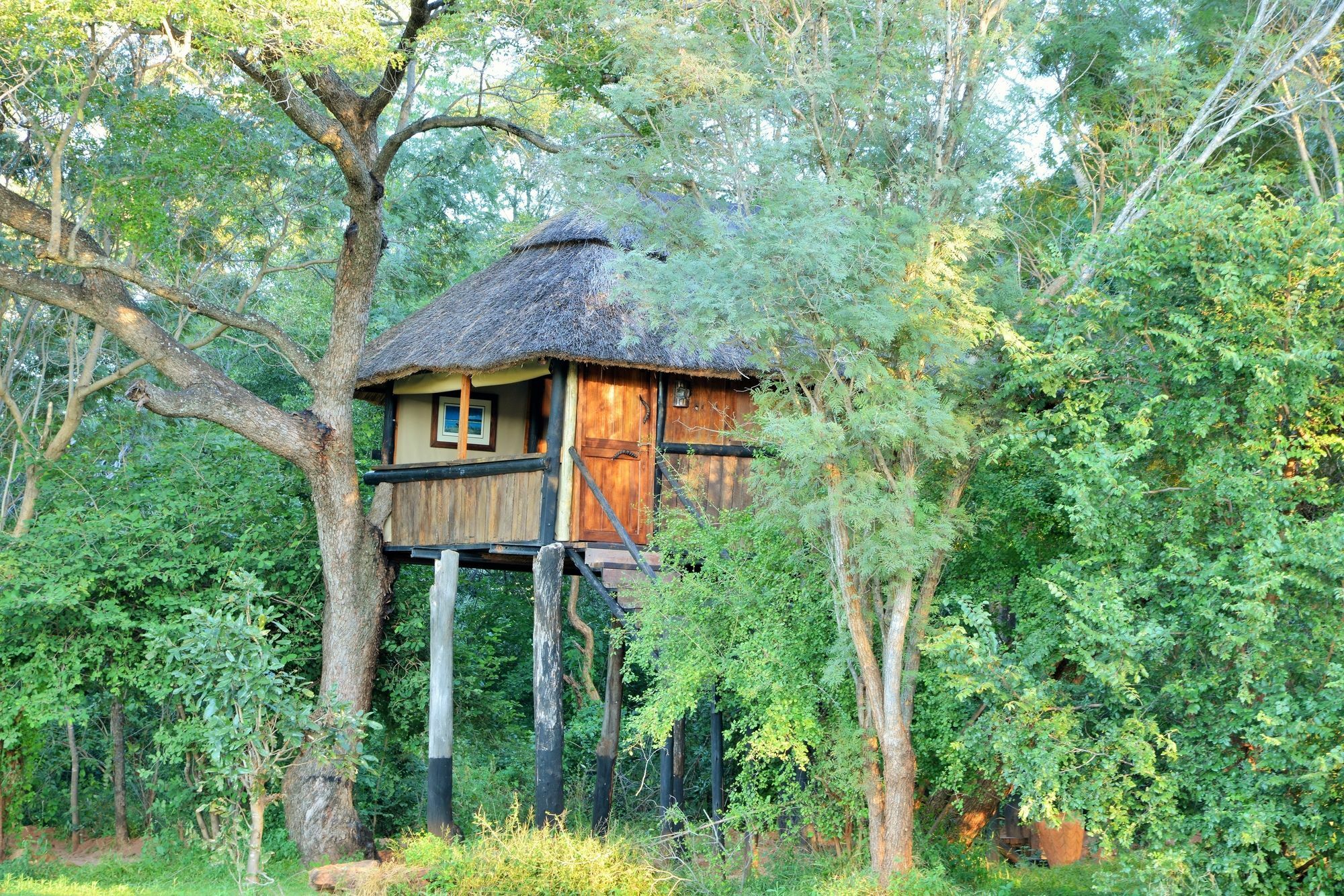 Ivory Lodge Dete Ngoại thất bức ảnh